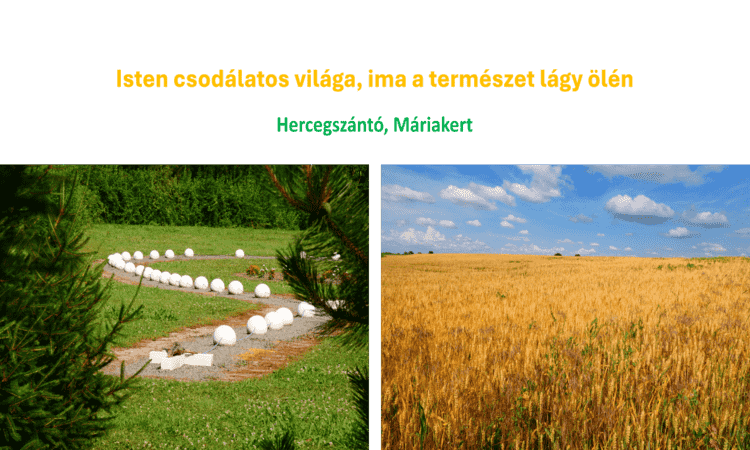 Óriás Mária szobor 7