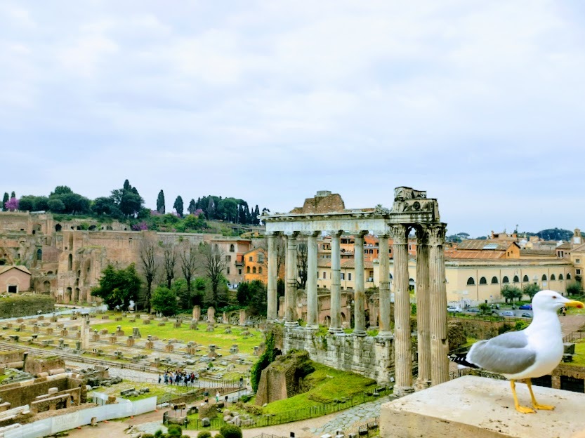 forum rmanum 1