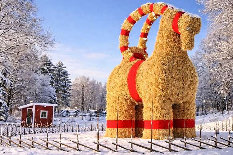 Gävlebocken kécske