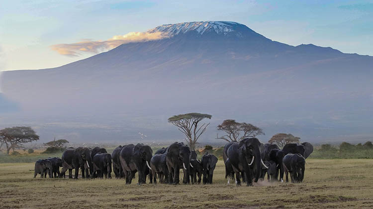 Kilimanjaro 02