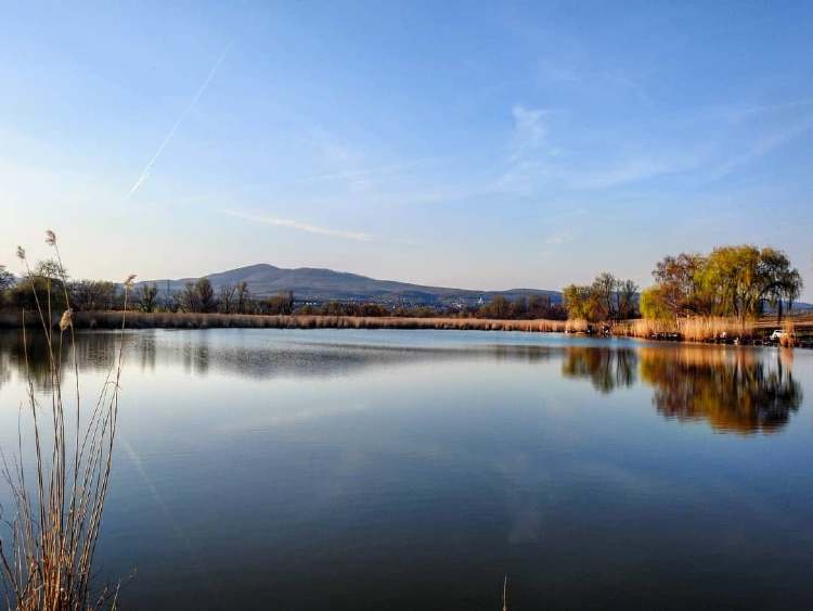 magyar kelet mecsek zengo1