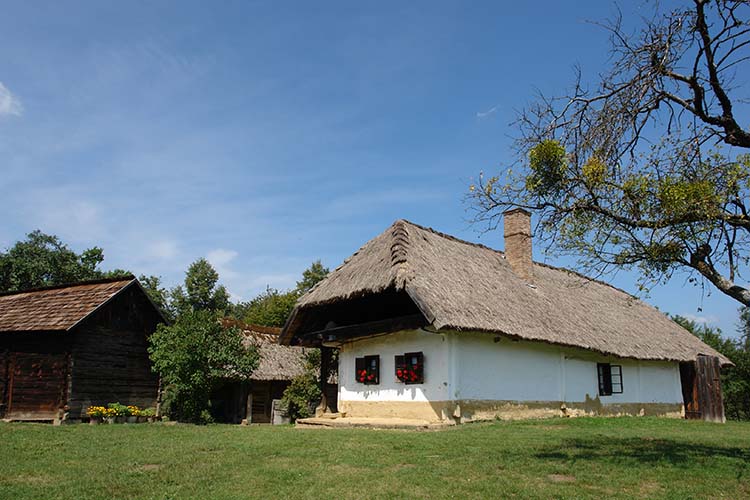 szalafo