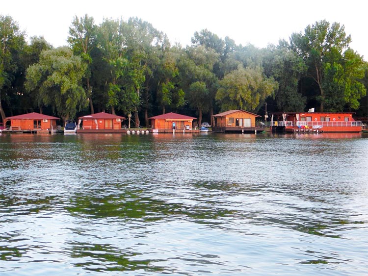 tisza tavi uszohaz