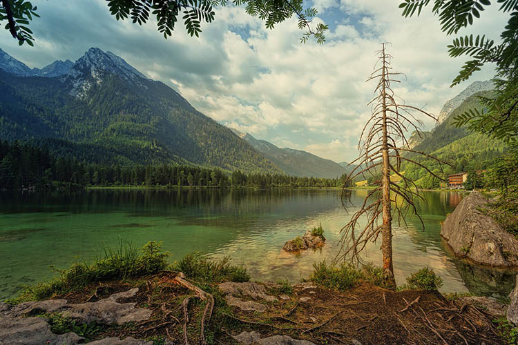 Bajor erdo Nemzeti Park 01