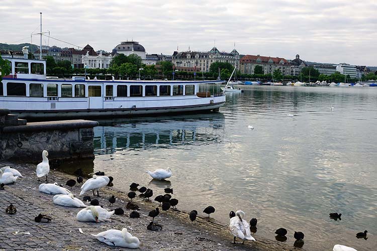 Burkliplatz zurich